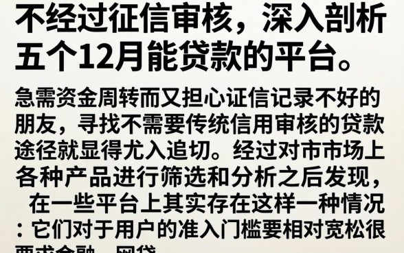 不经过征信审核，深入剖析五个12月能贷款的平台