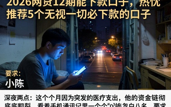 2026网贷12期能下款的口子，热忱推荐5个无视一切必下款的口子