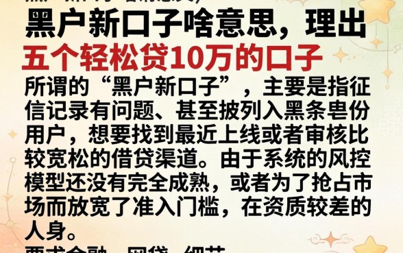 黑户新口子啥意思，理出五个轻松贷10万的口子