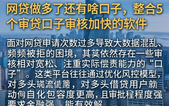 网贷做多了还有啥口子，整合5个审贷口子审核加快的软件