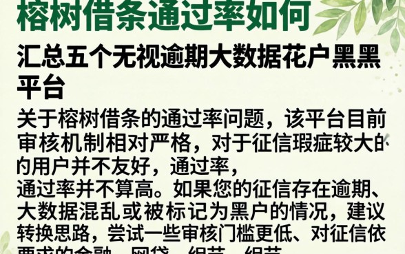 榕树借条通过率如何，汇总五个无视逾期大数据花户黑户平台