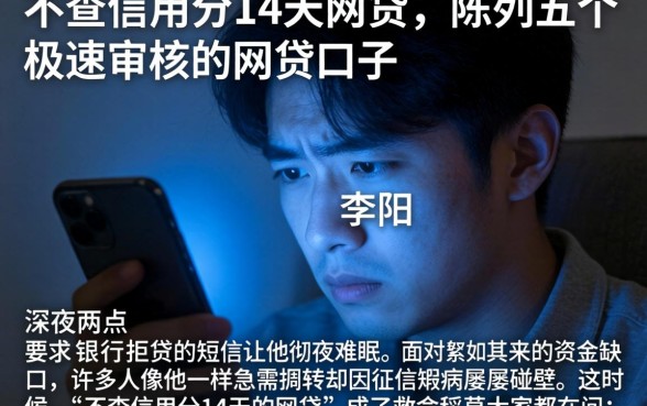 不查信用分14天的网贷，陈列五个极速审核的网贷口子