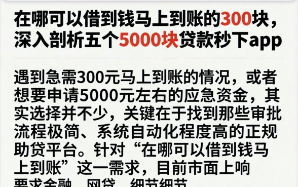 在哪可以借到钱马上到账的300块，深入剖析五个5000块贷款秒下app