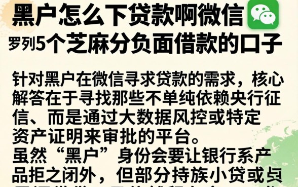 黑户怎么下贷款啊微信，罗列5个芝麻分负面借款的口子