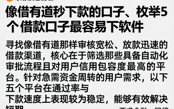 像借有道秒下款的口子，枚举5个借款口子最容易下软件