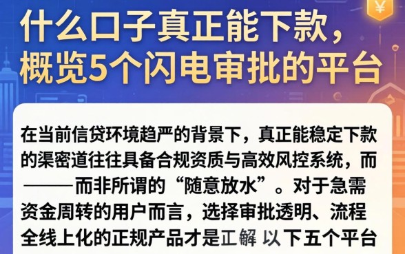 什么口子真正能下款，概览5个闪电审批的平台