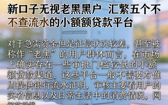 新口子无视老黑黑户，汇整五个不查流水的小额度贷款平台