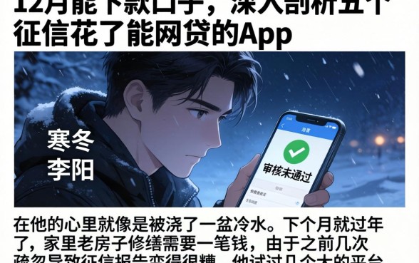 12月能下款的口子，深入剖析五个征信花了能网贷的app