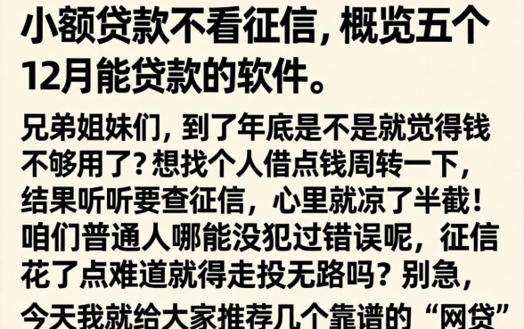 小额贷款不看征信,概览五个12月能贷款的软件
