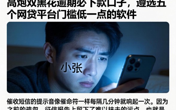 高炮双黑花逾期必下款口子，遴选五个网贷平台门槛低一点的软件