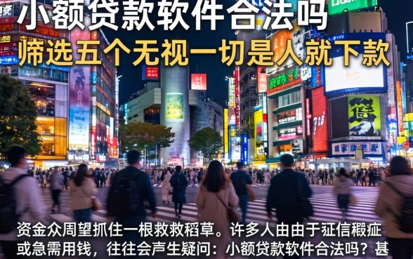 小额贷款软件合法吗，筛选五个无视一切是人就下款