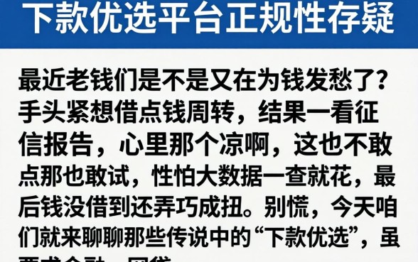 下款优选平台正规性存疑,概括五个手机上可以借钱的软件