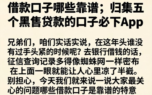 借款口子哪些靠谱，归集五个黑户贷款的口子必下app