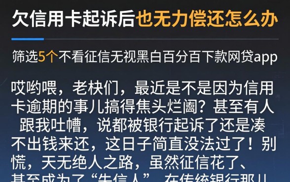 欠信用卡起诉后也无力偿还怎么办，筛选5个不看征信无视黑白百分百下款网贷app