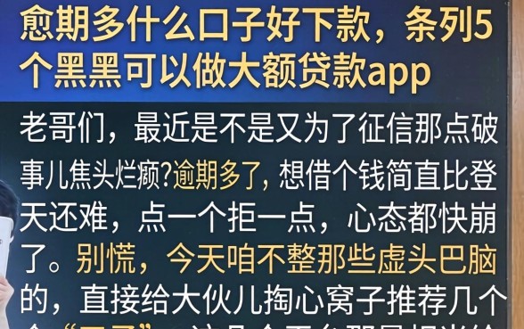 愈期多什么口子好下款，条列5个黑户可以做大额贷款app