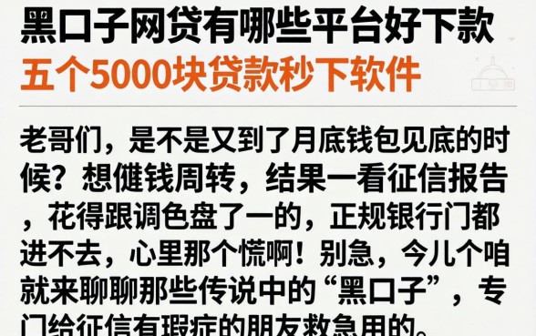 黑口子网贷有哪些平台好下款，详尽说明五个5000块贷款秒下软件