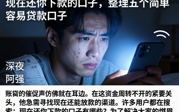 现在还你下款的口子，整理五个简单容易贷款口子