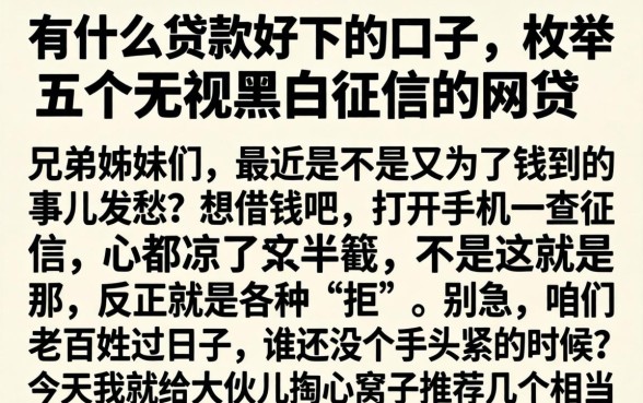 有什么贷款好下的口子，枚举五个无视黑白征信的网贷