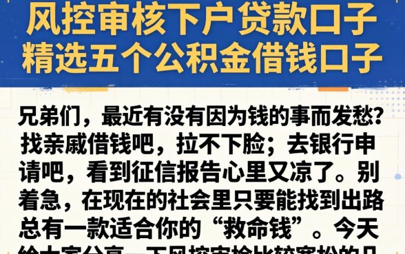 风控审核的下户贷款口子，精选五个公积金借钱口子