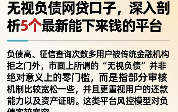 无视负债的网贷口子，深入剖析5个最新能下来钱的平台