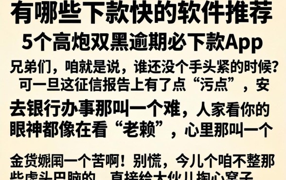 有哪些下款快的软件推荐，条列5个高炮双黑逾期必下款app