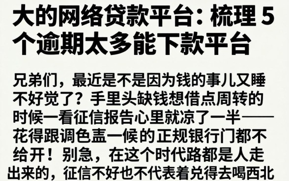大的网络贷款平台，梳理5个逾期太多能下款平台