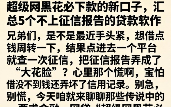 超级网黑花必下款的新口子，汇总5个不上征信报告的贷款软件
