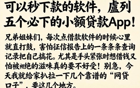 可以秒下款的软件，胪列五个必下的小额贷款app