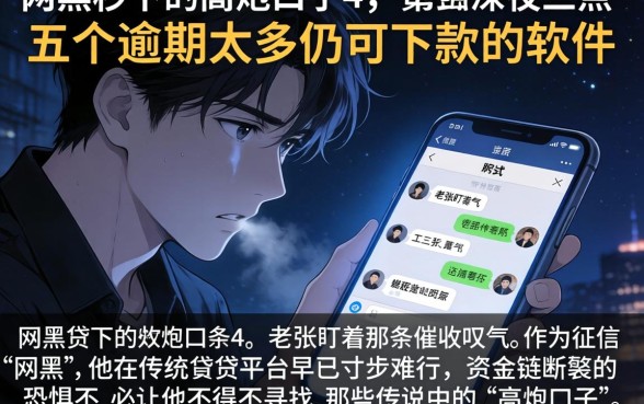 网黑秒下的高炮口子4，详细阐述五个逾期太多仍可下款的软件