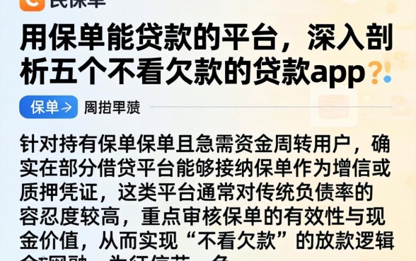 用保单能贷款的平台，深入剖析五个不看欠款的贷款app