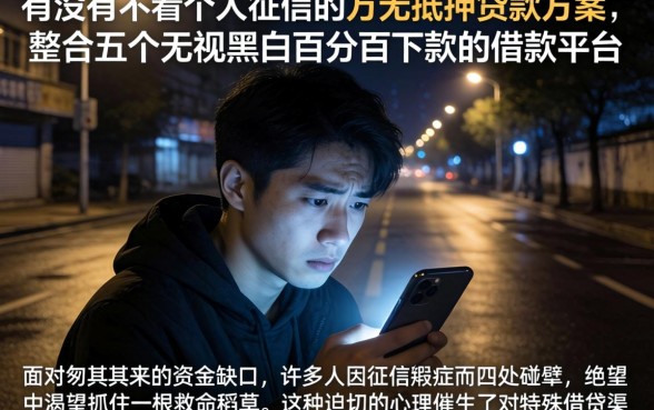 有没有不看个人征信的万无抵押贷款方案，整合五个无视黑白百分百下款的借款平台