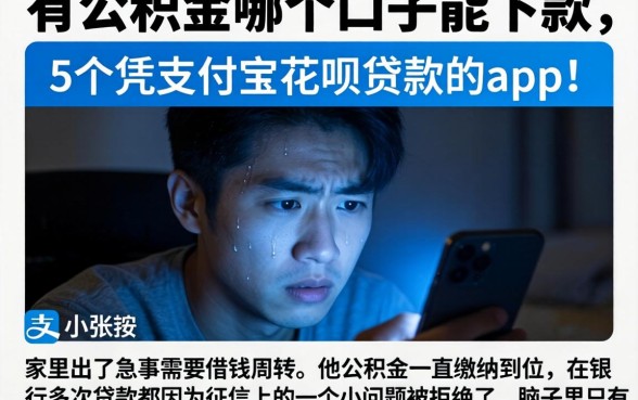 有公积金哪个口子能下款，详尽说明5个凭支付宝花呗贷款的app