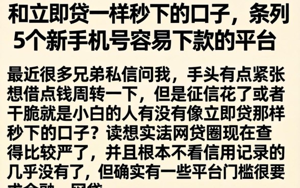 和立即贷一样秒下的口子，条列5个新手机号容易下款的平台