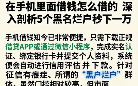 在手机里面借钱怎么借的，深入剖析5个黑户烂户秒下一万