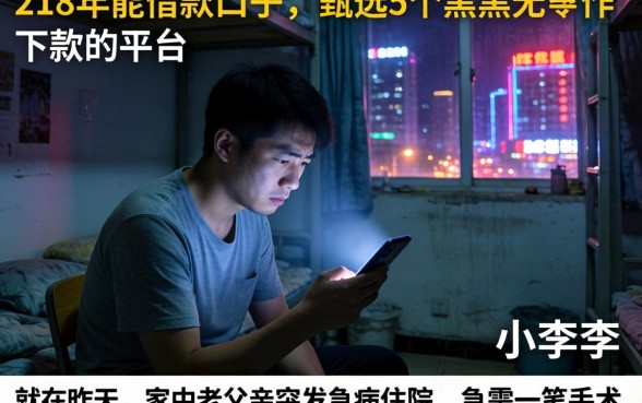 218年能借款的口子，甄选5个黑户无条件下款的平台