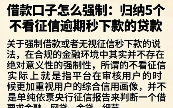 借款口子怎么强制，归纳5个不看征信逾期秒下款的贷款
