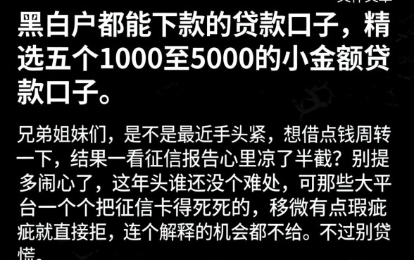 黑白户都能下款的贷款口子，精选五个1000至5000的小额贷款口子