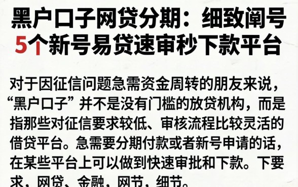 黑户口子网贷分期，细致阐述5个新号易贷速审秒下款平台