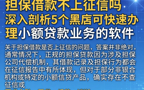 担保借款不上征信吗，深入剖析5个黑户可快速办理小额贷款业务的软件
