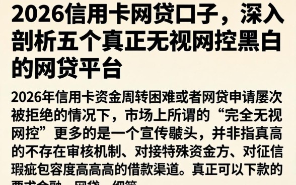 2026信用卡网贷口子，深入剖析五个真正无视风控黑白的网贷平台