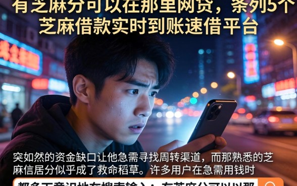 有芝麻分可以在那里网贷，条列5个芝麻借款实时到账速借平台