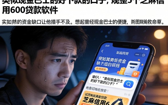 类似现金巴士的好下款的口子，规整5个芝麻信用600贷款软件