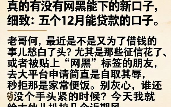 真的有没有网黑能下的新口子，细致阐述五个12月能贷款的口子