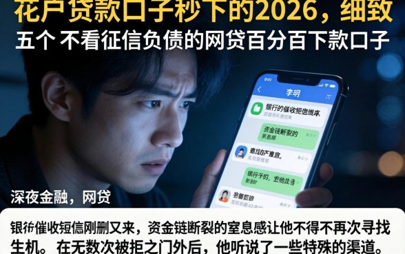花户贷款口子秒下的2026，细致阐述五个不看征信负债的网贷百分百下款口子