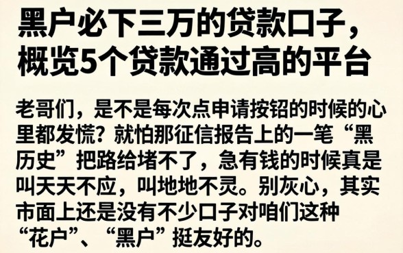 黑户必下三万的贷款口子，概览5个贷款通过高的平台