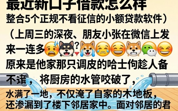最近新口子借款怎么样，整合5个正规不看征信的小额贷款软件