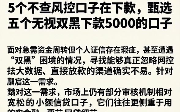 5个不查风控的口子在下款，甄选五个无视双黑下款5000的口子