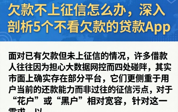 欠款不上征信怎么办，深入剖析5个不看欠款的贷款app