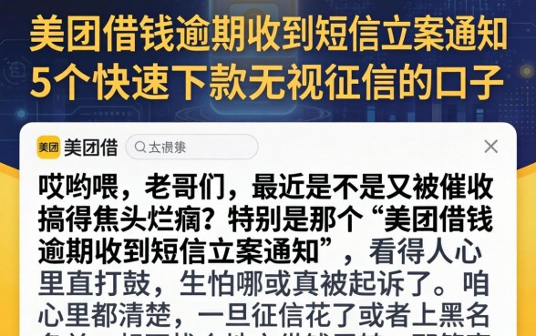 美团借钱逾期收到短信立案通知，细致阐述5个快速下款无视征信的口子
