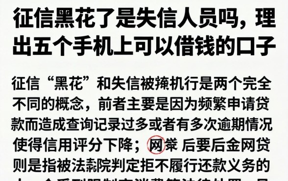 征信黑花了是失信人员吗，理出五个手机上可以借钱的口子
